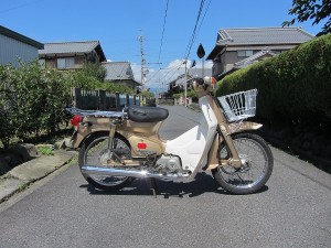 2回目の成人式 カブ