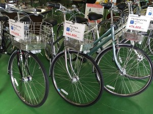 ２０１６アルベルト