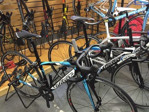 レディースモデル