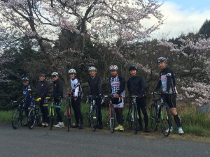 お花見ヒルクライム