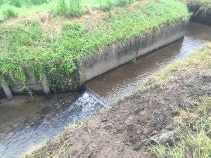 雨も降り、蒸し暑さが感じられます! 河川清掃