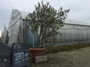 %ef%bd%86%ef%bd%81%ef%bd%92%ef%bd%8d-%e3%83%8f%e3%83%ac%e3%83%8e%e3%83%92