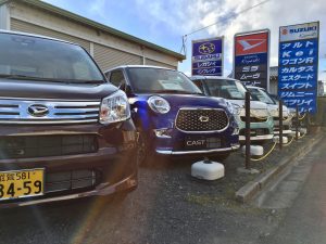 大初夢フェアを開催❣️