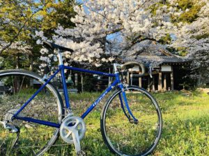 この神社は「河西いちご園」さんの裏手にあります?