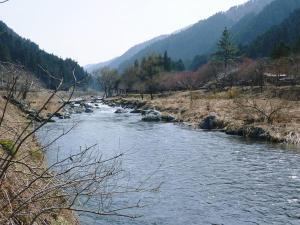朽木の花折れ断層