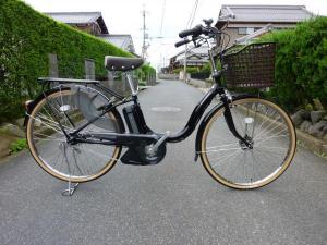 ＰＡＳナチュラＭ　ＤＸ