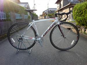 カートのトレーニングにドロミテを購入予定?