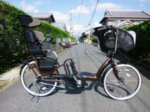 アンジェリーノミニアシスタ