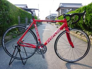 ＦＯＣＵＳ　ＣＵＬＵＢＲＯ　１.０