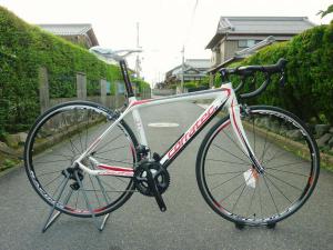 Ｒ.Ｔ. ＣＡＲＢＯＮ