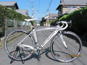 ボッテキア(ＢＯＴＴＥＣＣＨＩＡ)　綺麗なフレームが印象的！！
