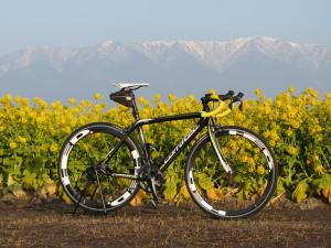 フォトコンテストを企画