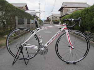ＢＯＴＴＥＣＣＨＩＡ