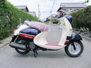 ビーノの一押しカラー