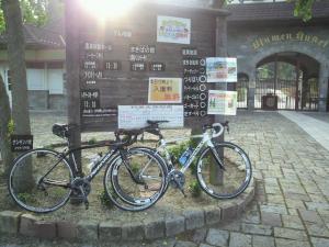 ＴＥＳＴＲＩＤＥにお付き合い