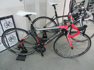 ＢＯＴＴＥＣＣＨＩＡ