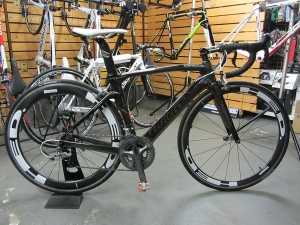 今日の一番人気