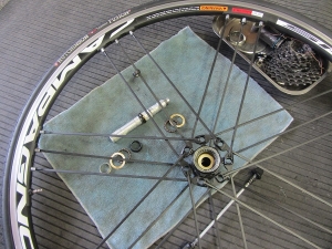 Ｇ３・シャマルを