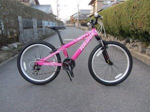 ジュニアマウンテン