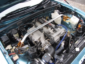 高級オイルを交換