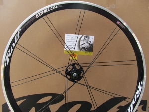 Ｅｃｈｅｌｏｎ ＳＬ