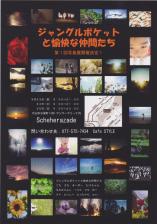 ジャングルポケットと愉快な仲間たち