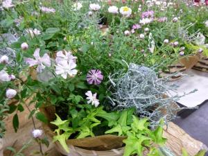 今回は、ナチュラル系の草花でコーディネイトしました！